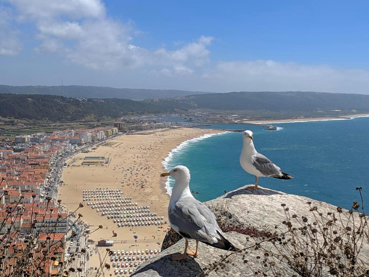 Blue Boat House - The Atlantic Breeze Apartment Nazare Exterior photo